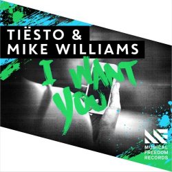 Обкладинка Tiesto & Mike Williams - I Want You