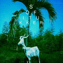 Обкладинка Sofi Tukker - Drinkee (Mahmut Orhan Remix)