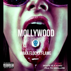 Обкладинка Waka Flocka Flame - O Let's Do It