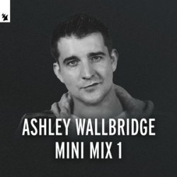 Обкладинка Ashley Wallbridge - Mumbai Traffic (Armin van Buuren's Edit)