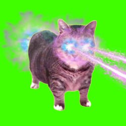 Обкладинка XertXetin - OIIA OIIA COSMIC CAT (Sped Up)