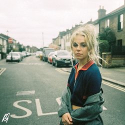 Обкладинка Rose Gray - Blue