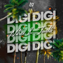 Обкладинка Dj Nitrex & Jankli - Digi Digi