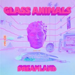 Обкладинка Glass Animals - Heat Waves