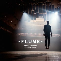 Обкладинка Flume - Some Minds (Feat. Andrew Wyatt)