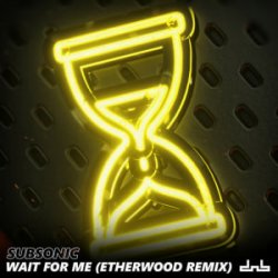 Обкладинка Subsonic - Wait For Me (Etherwood Remix)