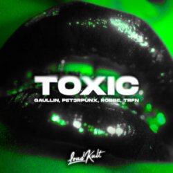 Обкладинка Gaullin & PET3RPUNX & Robbe & TRFN - Toxic