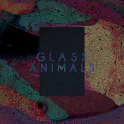 Обкладинка Glass Animals - Black Mambo
