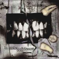 Обкладинка In Strict Confidence - Burning Angel (Remix)