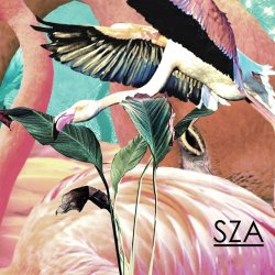 Обкладинка SZA - Castles