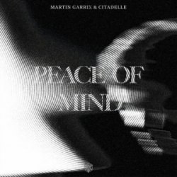 Обкладинка Martin Garrix & Citadelle - Peace Of Mind