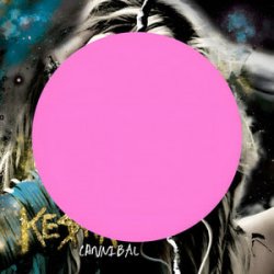 Обкладинка Kesha - we r who we r (Gravagerz REMIX)
