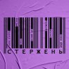 Cover alyona alyona, KALUSH, OTOY, Білий Бо, Шершень - Стержень alyona alyona, KALUSH, OTOY, Білий Бо, Шершень - Стержень