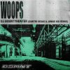 Cover DJ Bountyhunter - Woops (Dimitri Vegas & Junkie Kid Remix) DJ Bountyhunter - Woops (Dimitri Vegas & Junkie Kid Remix)