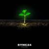 SYNC24 - Bioluminescent Creatures