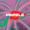 Обкладинка AFRONOM & Lucas Estrada & Idd Aziz - Pepele AFRONOM & Lucas Estrada & Idd Aziz - Pepele