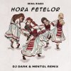 Обкладинка Irina Rimes - Hora fetelor (Dj Dark & Mentol Remix) Irina Rimes - Hora fetelor (Dj Dark & Mentol Remix)