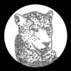 Cover Tensnake - Need Your Lovin Tensnake - Need Your Lovin