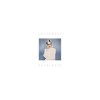 Cover Sally Dige - Holding On Sally Dige - Holding On