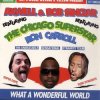 Обкладинка Axwell and Bob Sinclar (Feat Ron Carroll) - What a wonderful world feat ron car Axwell and Bob Sinclar (Feat Ron Carroll) - What a wonderful world feat ron car