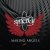 Cover Synergy - All The Kings Horses