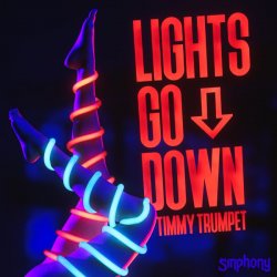 Обкладинка Timmy Trumpet - Lights Go Down