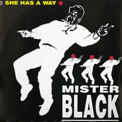 Обкладинка Mr Black - She Has A Way (Boom Boom Mix)