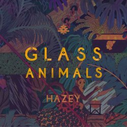 Обкладинка Glass Animals - Hazey