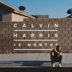 Обкладинка Calvin Harris & Example - We'll Be Coming Back (Dj Dark & Huge Carter Remix)