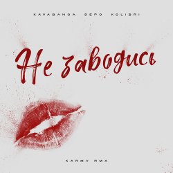 Обкладинка kavabanga Depo kolibri - Не заводись (karmv rmx)