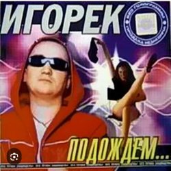 Обкладинка Игорек - Подождем