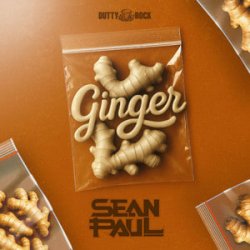 Обкладинка Sean Paul - Ginger