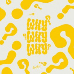 Обкладинка Tanaka & Lucas Estrada - WHY?