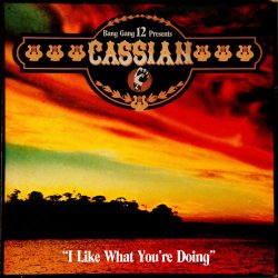 Обкладинка Cassian - I Like What You're Doing (Original Mix)