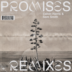 Обкладинка Calvin Harris;Sam Smith - Promises (David Guetta Remix)