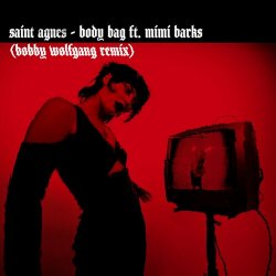 Обкладинка Saint Agnes feat. Mimi Barks - Body Bag (Bobby Wolfgang Remix)