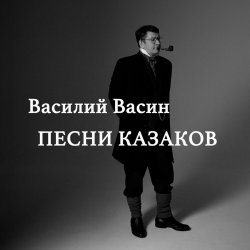 Обкладинка Вася Васин - Чёрный ворон