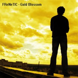 Обкладинка FReNeTIC - В зазеркалье
