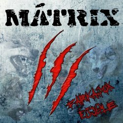 Обкладинка Matrix - Temperament