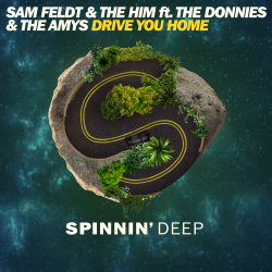 Обкладинка Sam Feldt & The Him ft. The Donnies The Amys - Drive You Home (Original Mix)