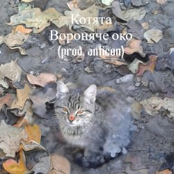 Обкладинка Вороняче око - котята (prod. anticøn)