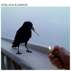 Обкладинка The Chainsmokers & Beau Nox - White Wine & Adderall