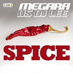 Обкладинка Megara vs. DJ Lee - Spice (Single Edit)