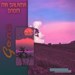 Обкладинка Mr Salama & DNDM - Gone