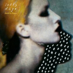 Обкладинка Sally Dige - Hard To Please