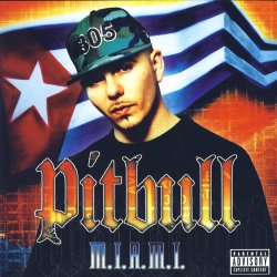 Обкладинка Pitbull ft. Lil Jon - Culo
