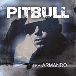 Обкладинка Pitbull feat. Papayo - Armando