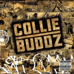Обкладинка Collie Buddz - Blind To You (Haters)