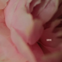 Обкладинка Lewis Capaldi - Survive