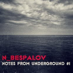 Обкладинка N_Bespalov - Space